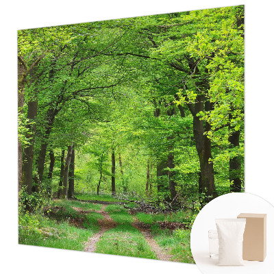 Fototapeta z motivom gozdne poti