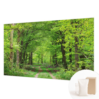 Fototapeta z motivom gozdne poti