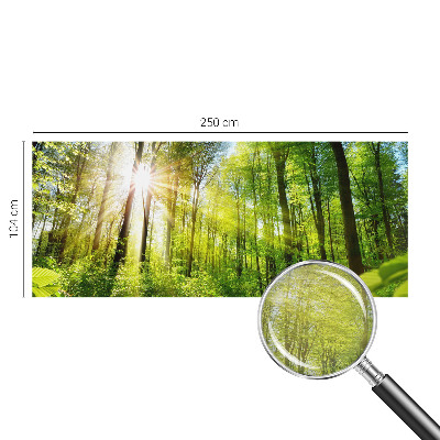 Foto tapeta Gozdna svetloba