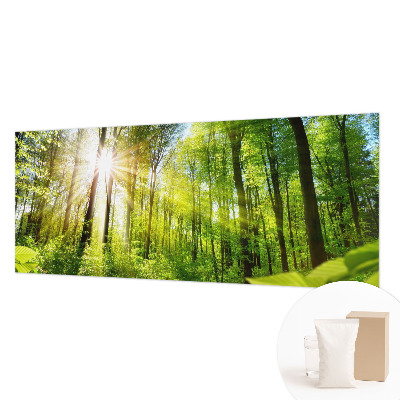 Foto tapeta Gozdna svetloba