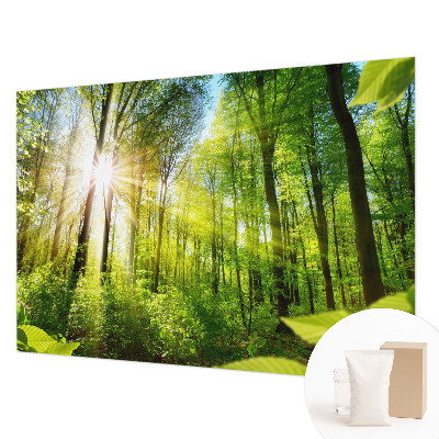 Foto tapeta z motivom gozdne svetlobe