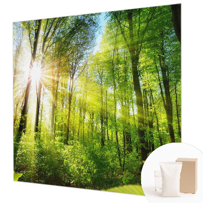 Foto tapeta Gozdna svetloba