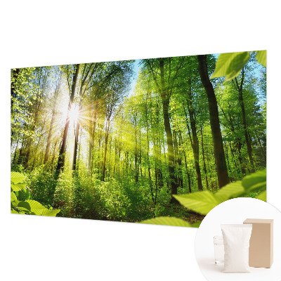 Foto tapeta Gozdna svetloba