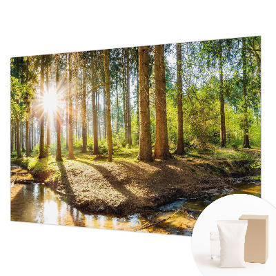 Netkana fototapeta z motivom gozdne idile