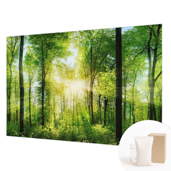 Fototapeta za steno z motivom gozdne harmonije