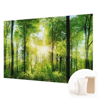 Fototapeta za steno z motivom gozdne harmonije