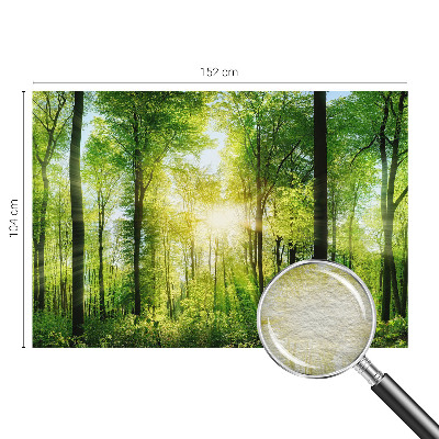Fototapeta za steno z motivom gozdne harmonije