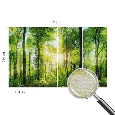 Fototapeta za steno z motivom gozdne harmonije
