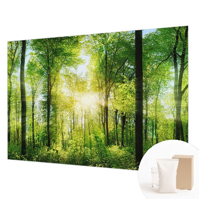 Fototapeta za steno z motivom gozdne harmonije