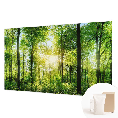 Fototapeta za steno z motivom gozdne harmonije