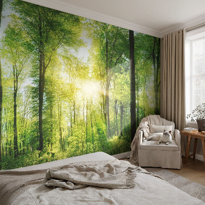 Fototapeta za steno z motivom gozdne harmonije