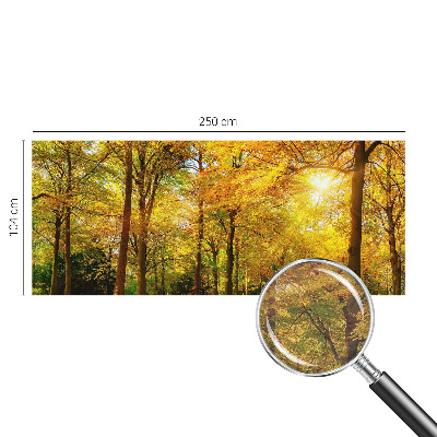 Fototapeta za dnevno sobo Zlati listi