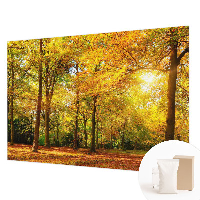 Fototapeta za dnevno sobo Zlati listi