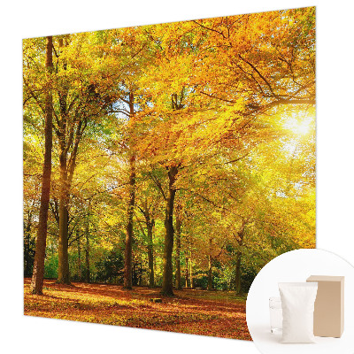 Fototapeta za dnevno sobo Zlati listi