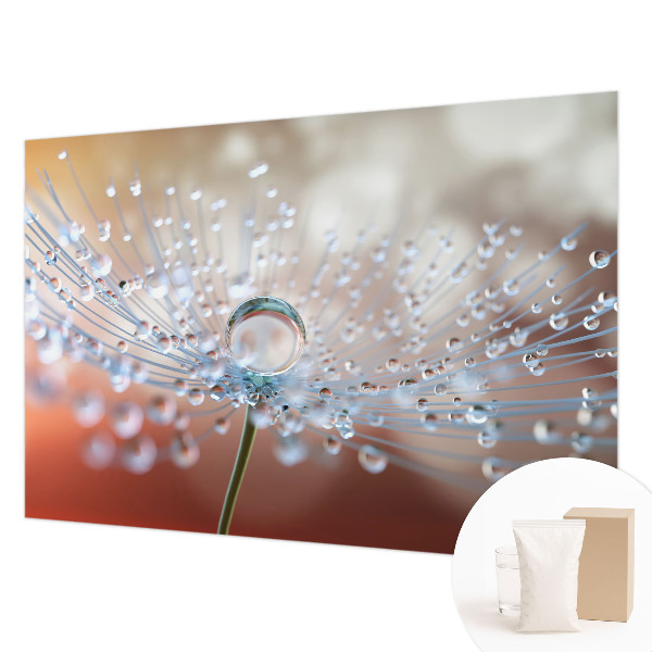 Fototapeta za steno z motivom kapljice na regratu