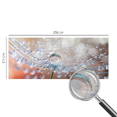 Fototapeta za steno z motivom kapljice na regratu