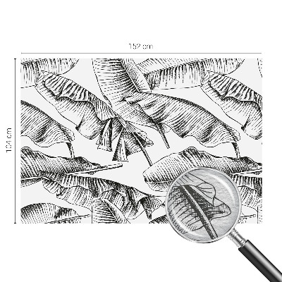 Fototapeta s tiskom Bananin list