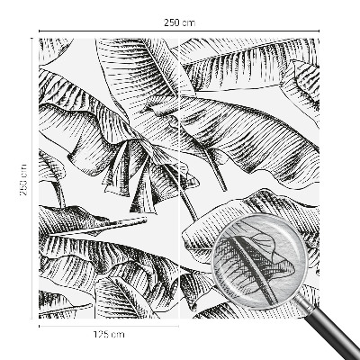 Fototapeta s tiskom Bananin list