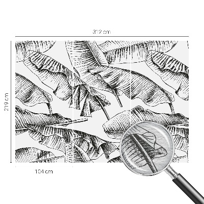 Fototapeta s tiskom Bananin list