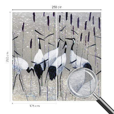 Foto tapeta Harmonični žerjavi