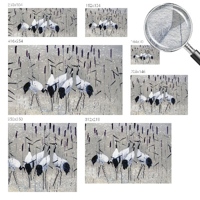 Foto tapeta Harmonični žerjavi