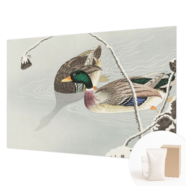 Netkana fototapeta Mirne race