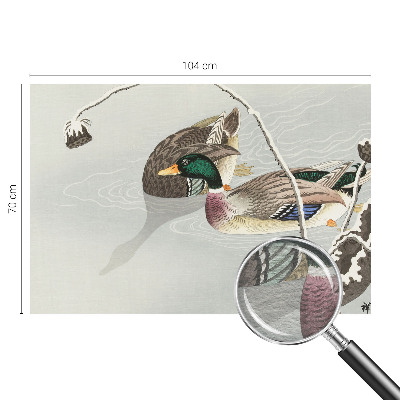 Netkana fototapeta Mirne race