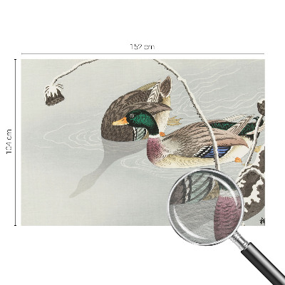 Netkana fototapeta Mirne race