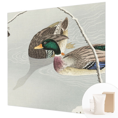 Netkana fototapeta Mirne race