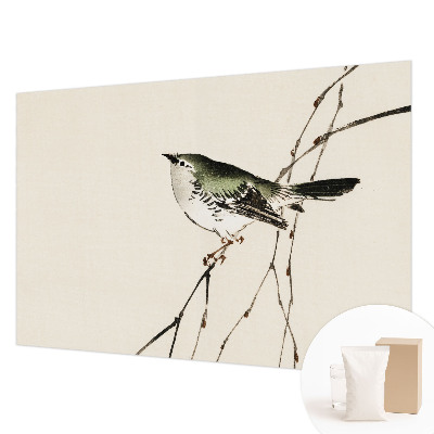 Fototapeta za dnevno sobo Harmonična ptica