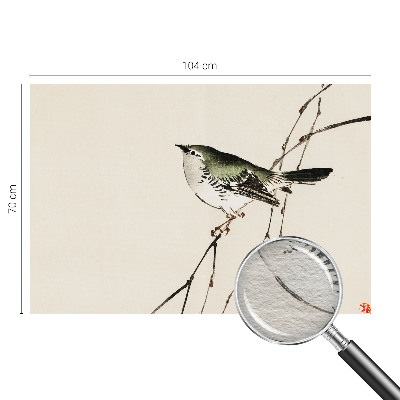 Fototapeta za dnevno sobo Harmonična ptica