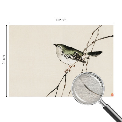 Fototapeta za dnevno sobo Harmonična ptica