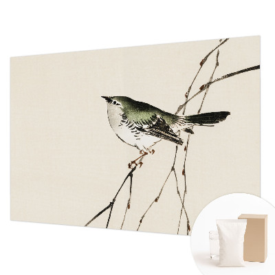 Fototapeta za dnevno sobo Harmonična ptica