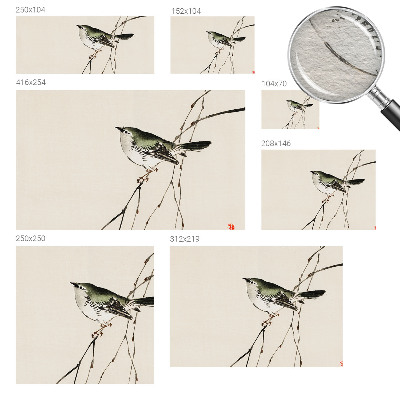 Fototapeta za dnevno sobo Harmonična ptica