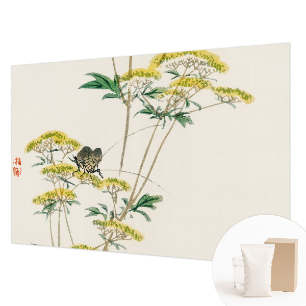 Stenska dekoracija fototapeta Rože v naravi