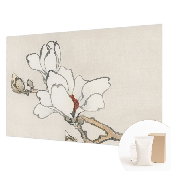 Fototapeta s tiskom z motivom nežnih magnolij