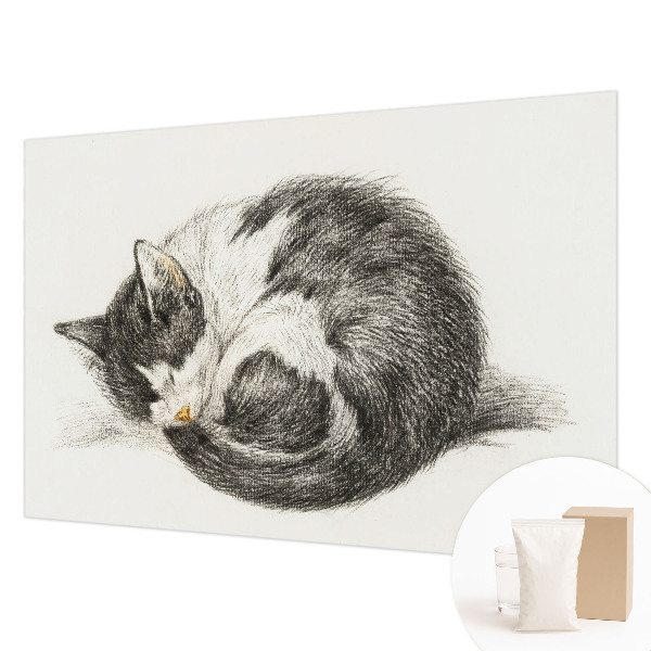 Foto tapeta Čudovita mucka