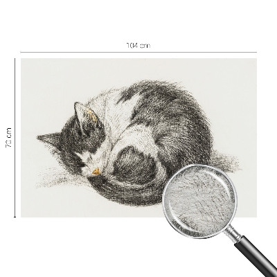 Foto tapeta Čudovita mucka