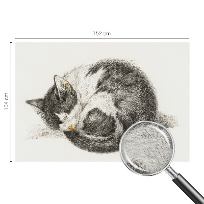 Foto tapeta Čudovita mucka