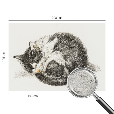 Foto tapeta Čudovita mucka