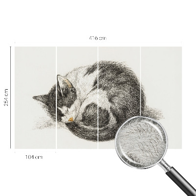 Foto tapeta Čudovita mucka