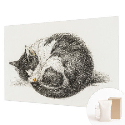 Foto tapeta Čudovita mucka