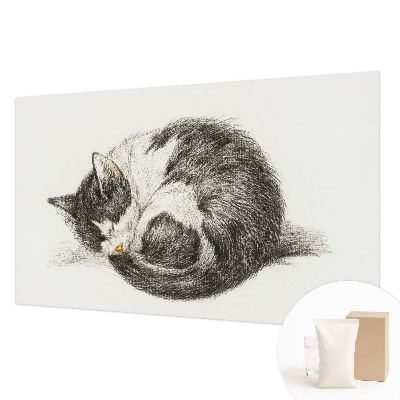 Foto tapeta Čudovita mucka