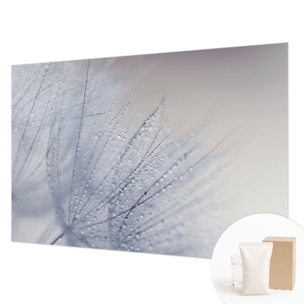 Moderna fototapeta z motivom rosičnega regrata