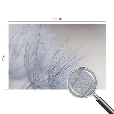 Moderna fototapeta z motivom rosičnega regrata