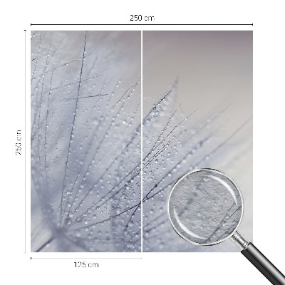 Moderna fototapeta Rosni regrat