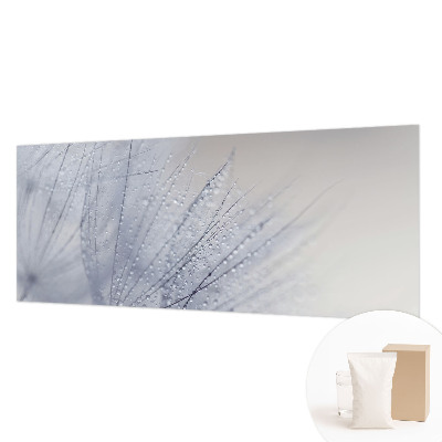 Moderna fototapeta z motivom rosičnega regrata