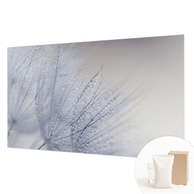 Moderna fototapeta z motivom rosičnega regrata