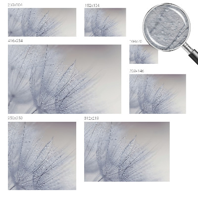 Moderna fototapeta z motivom rosičnega regrata