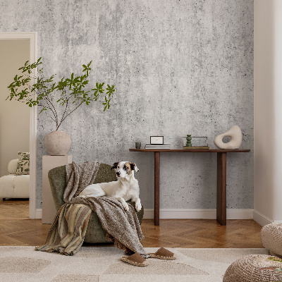 Dekorativna fototapeta Betonska stena